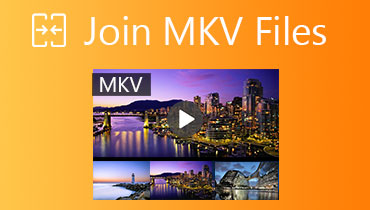 加入MKV