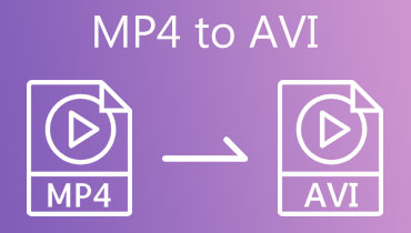 MP4 ke AVI