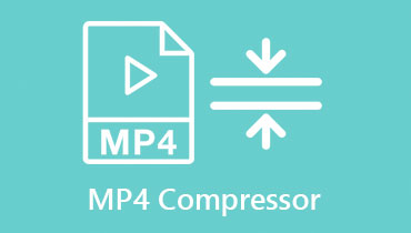 最佳 MP4 压缩器