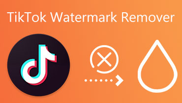 TikTok水印去除剂