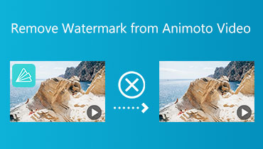 从 Animoto 视频中删除水印