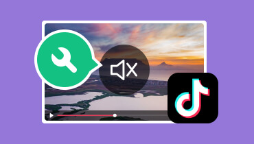 TikTok 동영상에서 소리가 나지 않음