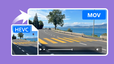 HEVC ke MOV