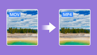 MOV ke MP4