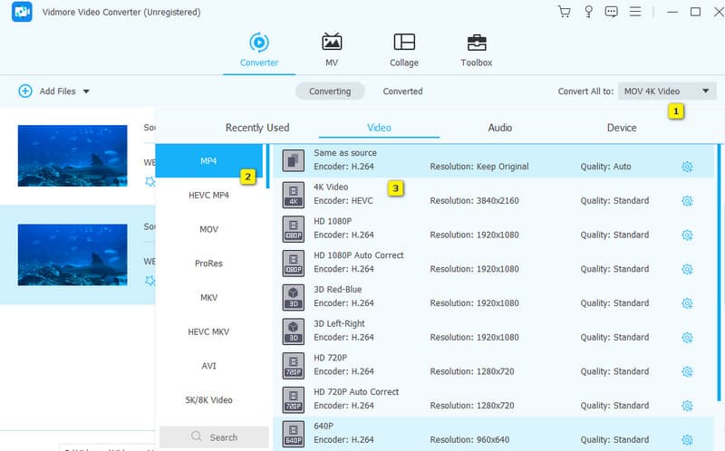 WebM Converter Vidmore סט