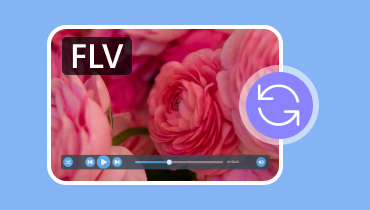 Konwerter FLV