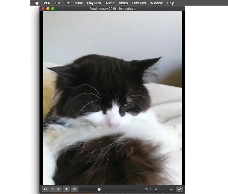 Chơi Avi File Vlc
