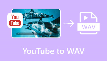 Youtube do WAV