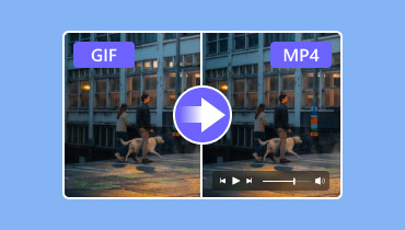 GIF do MP4