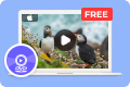 DVD Player gratuit pentru Mac