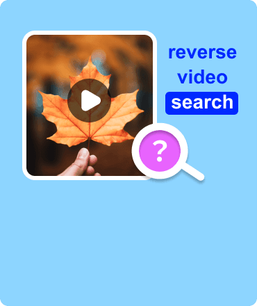 Omvendt videosøk
